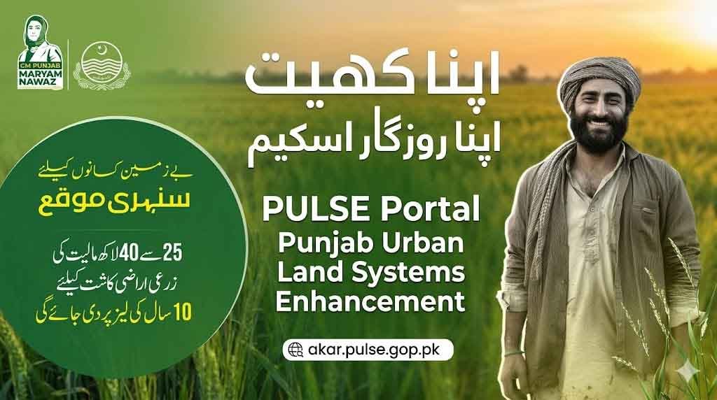 PULSE Portal Login 2026