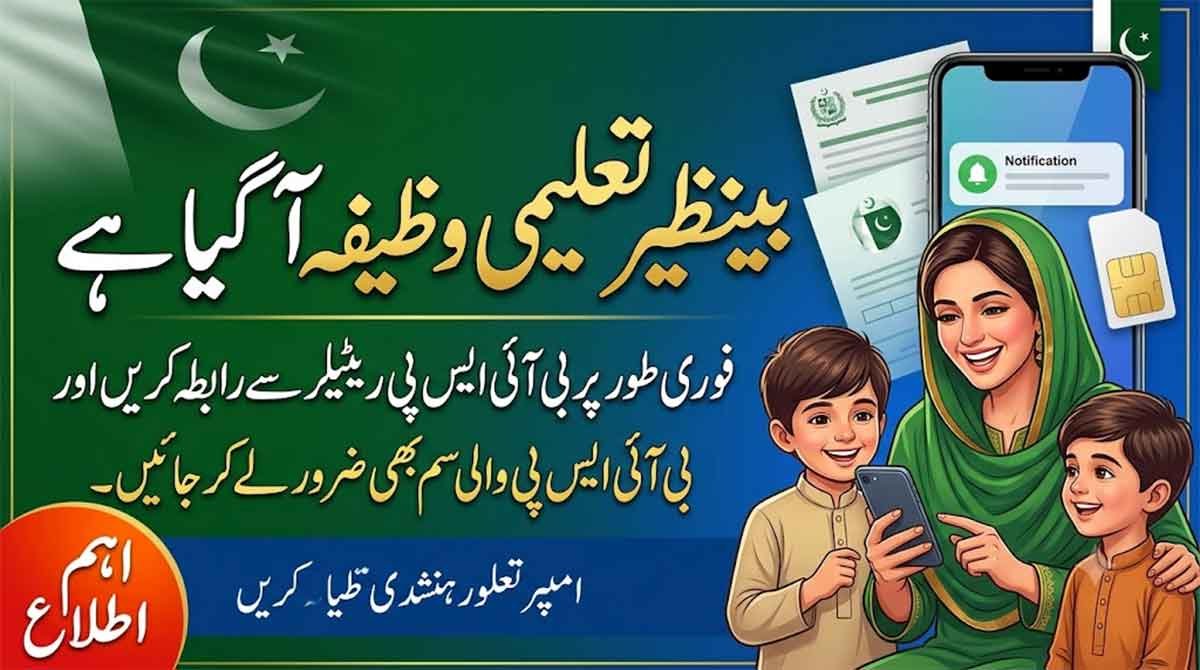 Benazir Taleemi Wafiza Registration check online